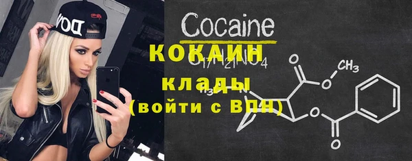 соль ск Волосово